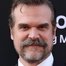 Poster David Harbour