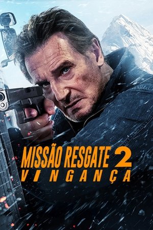 poster Missão Resgate 2: Vingança