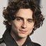 Poster Timothée Chalamet